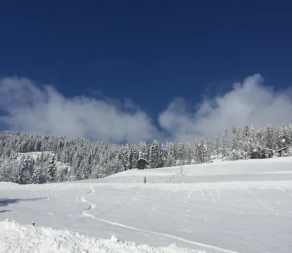 Unterleegut Mühlbach am Hochkönig